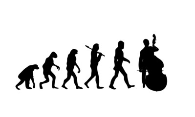 Evolution Cello