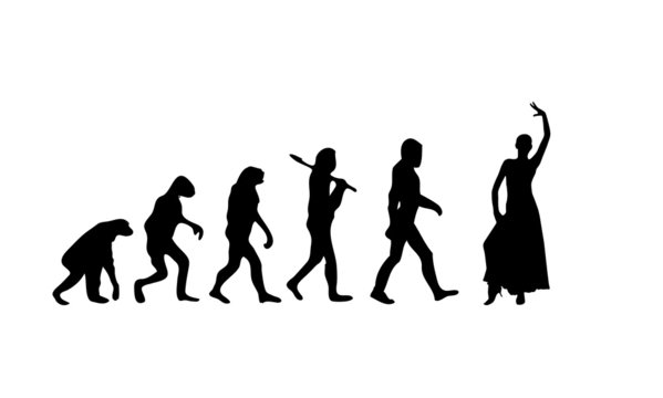 Evolution Flamenco