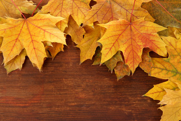 Yellow maple leaves on wooden background