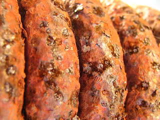 Rusted Spring Macro