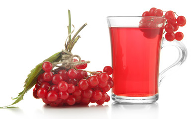 Red berries of viburnum and cup of tea isolated on white