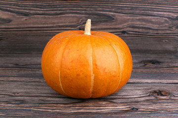 orange pumpkin