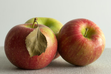 Frutta