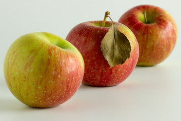 Fruit,