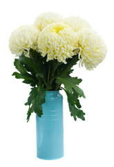 bouquet of white mums in pot