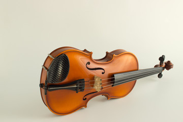 Violino