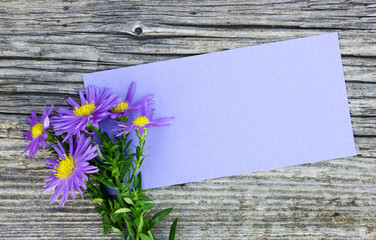 Fototapeta premium flowers