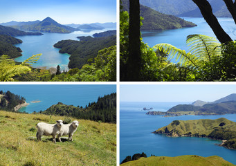 Neuseeland´s Küste © Friedberg