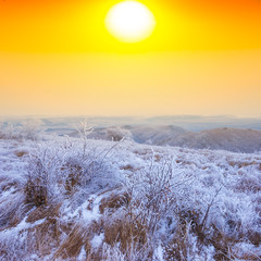 winter snowbound plain at the sunset
