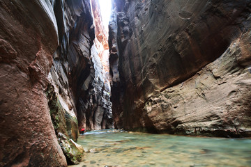 Canyon in Zion