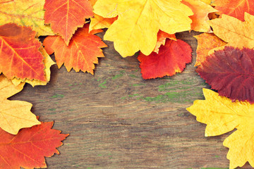 Naklejka na ściany i meble bright colorful autumnal leaves on a wooden background