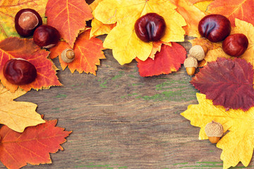 Naklejka na ściany i meble autumnal leaves on a wooden background