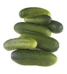 .pickles on a white background