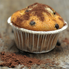 muffin