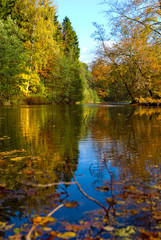 Fototapeta na wymiar Herbstlicher Wald am See
