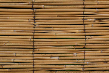 Bamboo wall