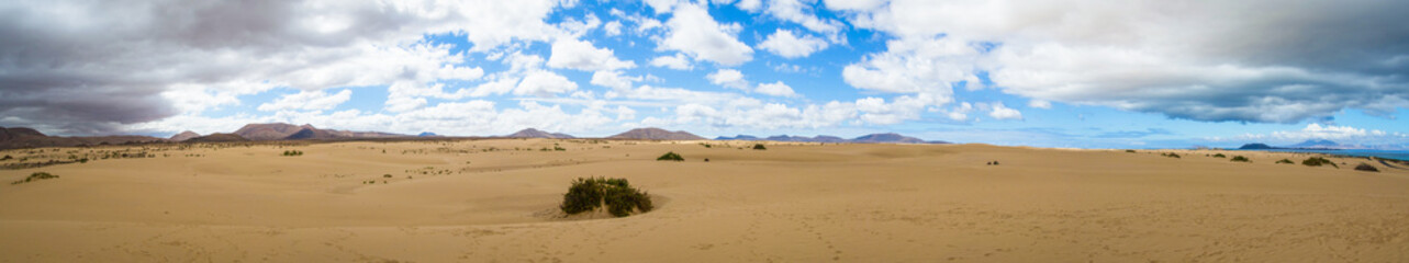 Fototapeta na wymiar Desert landscape at Park of Corralejo, Fuerteventura, Canary isl