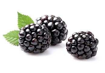 Blackberry with leaves © Dionisvera
