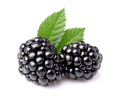 Juicy Blackberry With Leaves