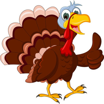 Funny Turkey Cartoon Thumb up