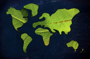green economy, world map covered by green leaves