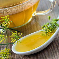 Fenchel - Tee und Fenchelhonig