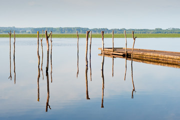 wooden pier, sticks and reflection on Soustons lake, France