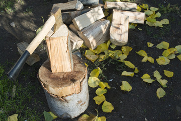 Ax chopping wood on chopping block