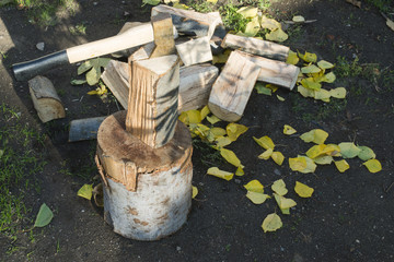 Ax chopping wood on chopping block