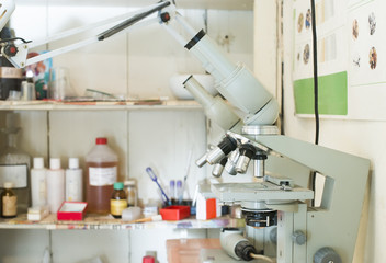 Veterinary laboratory.