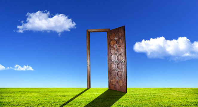 Surreal door on grass