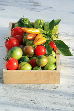 Reife Tomaten und Peperoni