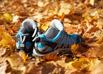 Schuhe im Herbstlaub