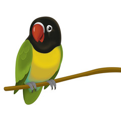 The cartoon bird - parrot - children illustration