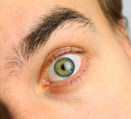 wide open human eye and eyebrow