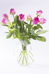 Pink roses in glass jug on white background