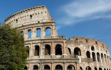 Obraz premium Colosseum Landscape