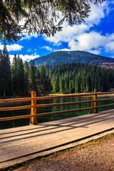 Fototapeta na wymiar fence on mountain Lake near forest