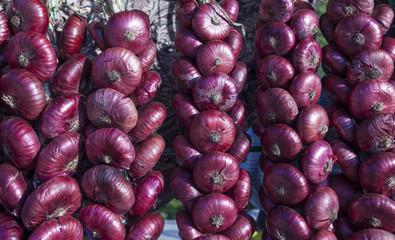 Bunches of sweet red Crimean onion.