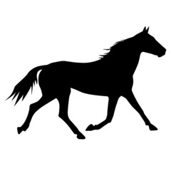 vector silhouette of horse