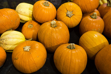 Pumpkins in food store