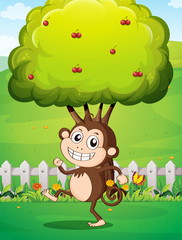A smiling young monkey near the fence with a tree