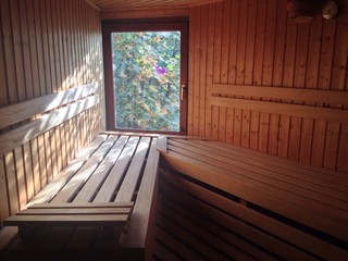 Sauna Interior with Window