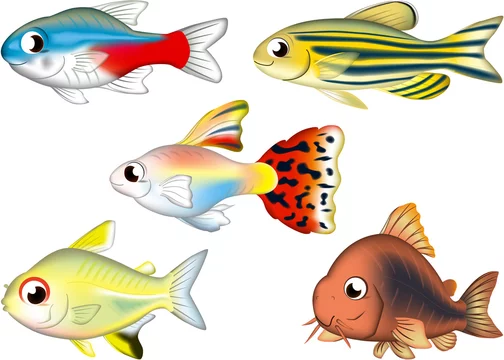 入門熱帯魚5匹 ネオンテトラ グッピー コリドラス ゼブラダニオ レモンテトラ Stock ベクター Adobe Stock