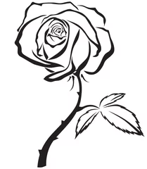 Papier Peint photo Lavable Fleurs noir et blanc Belle rose