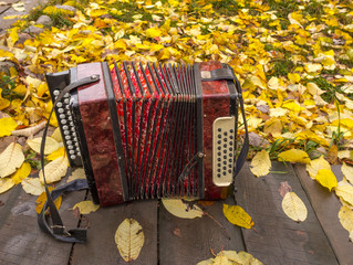 russian accordion on the carpet of leafs