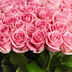 Pink natural roses