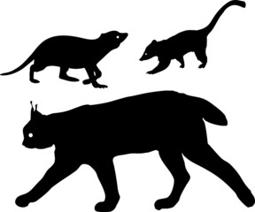 Fototapeta premium Silhouettes of lynx, meerkat and coati