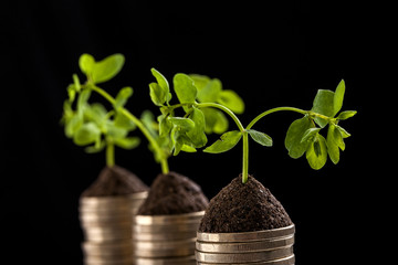 Golden coins and plant - money growth concept. Dark background