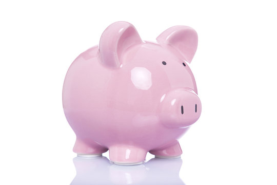Money pig isolated on a white background